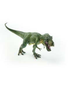 JollyDinos: Tyrannosaurus Rex