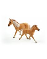 JollyHorses: Palomino horse + foal + fence 
